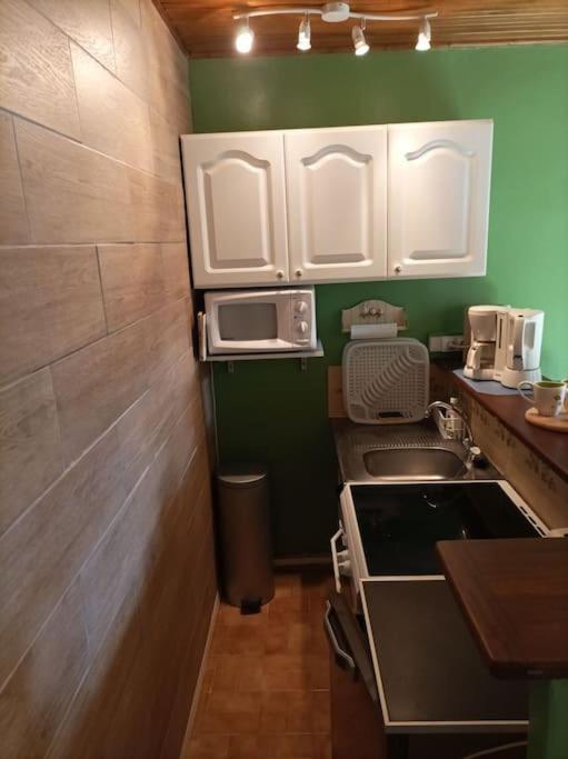 Lumineux 2 Pieces A St Martin Apartment Saint-Martin-Vesubie Ngoại thất bức ảnh