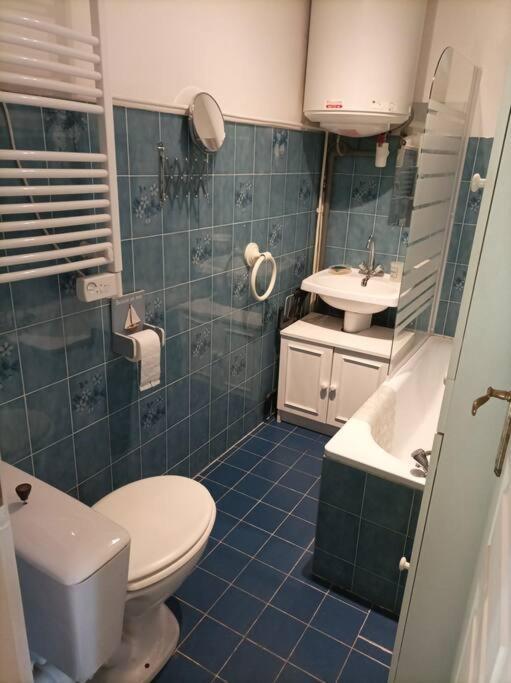 Lumineux 2 Pieces A St Martin Apartment Saint-Martin-Vesubie Ngoại thất bức ảnh